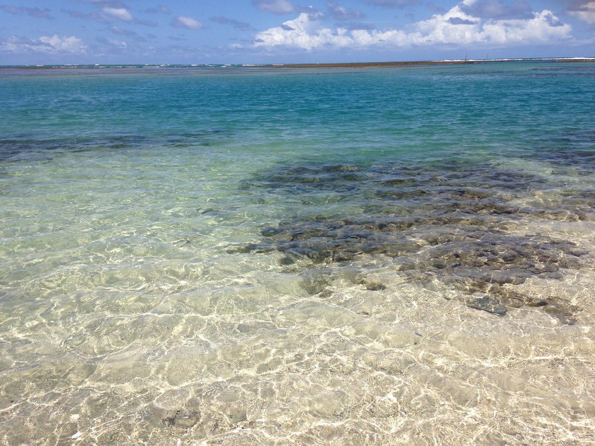 Villa Albardao Serrambi Porto de Galinhas Luaran gambar