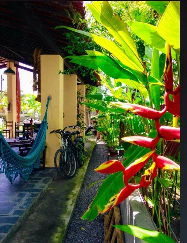 Villa Albardao Serrambi Porto de Galinhas Luaran gambar